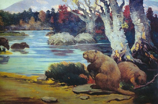 Kakšna bi lahko bila zemlja brez ljudi?