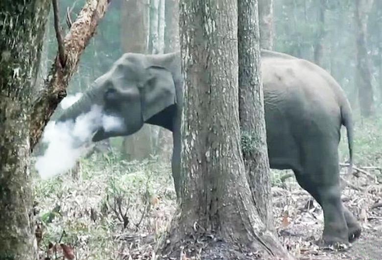 Nadzorna kamera, ujeta v objektiv