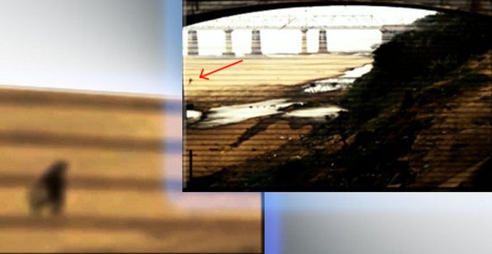 Nadzorna kamera je ujela še enega smešnega duha