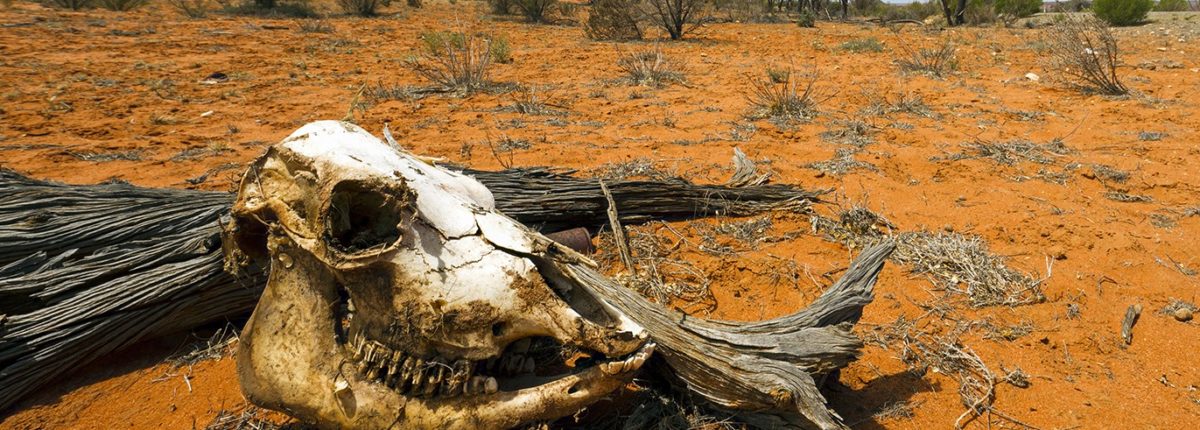 Kanadski znanstveniki: človeštvo bo izumrlo v 700 letih 