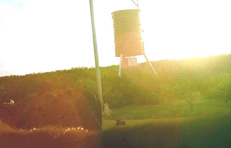 Kanadski kmet je fotografiral skrivnostne kroglice na travi.