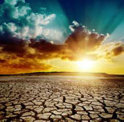 Vsakih deset let je planet vse bolj vroč.