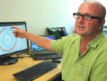 Človeški črevesni virus se prehranjuje z bakterijami, ki povzročajo debelost.