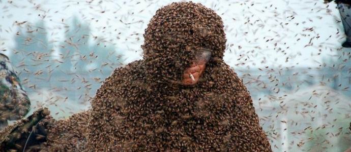 Kitajci so se prostovoljno zataknili z milijonom živih čebel