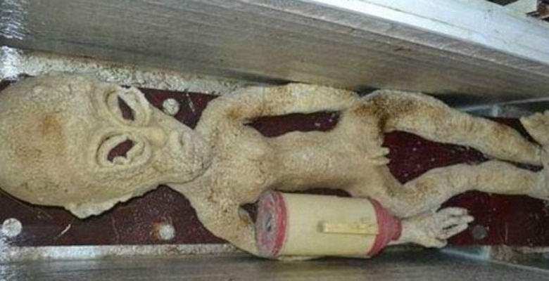 Ali Kitajci telo tujca hranijo v hladilniku?