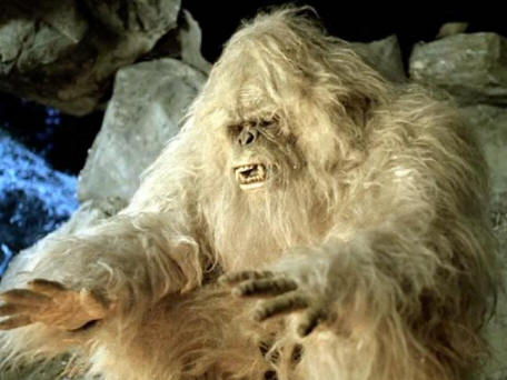 Kitajski Yeti