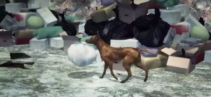 Ko so psi bolj dostojni kot nekatere matere.