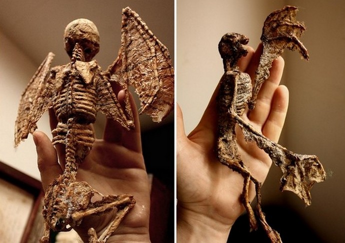 Zbirka skrivnostnih kriptidov Thomasa Merlina