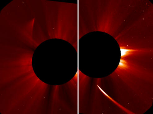 ISON Comet Phoenix se je prerodil iz pepela