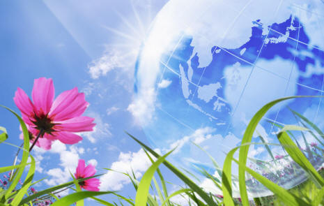 Sobne rastline lahko mislijo, govorijo in berejo naše misli.