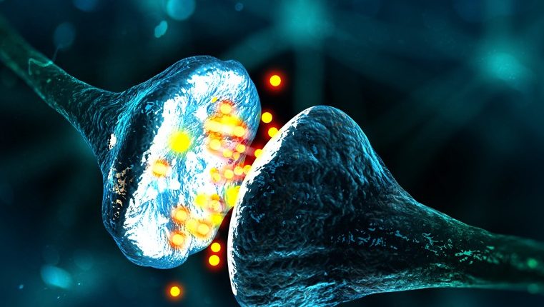 Računalniške čipe tega zagona poganjajo človeški nevroni. 