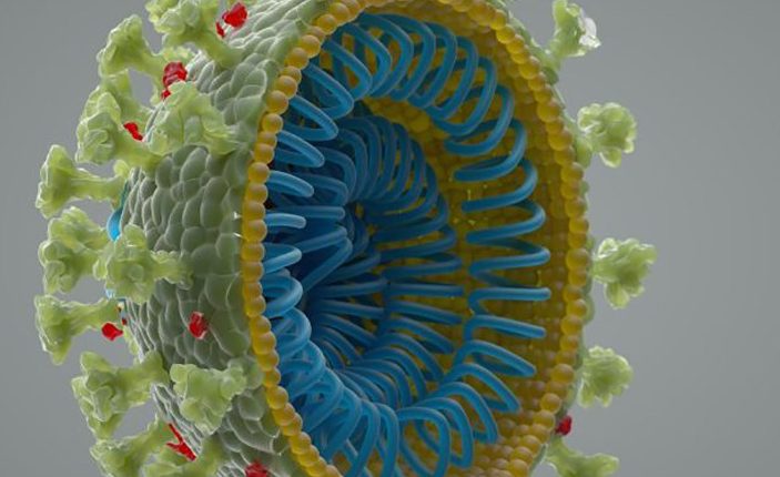 Koronavirus ni bil ustvarjen v laboratoriju.  Evo, kar pravijo znanstveniki 