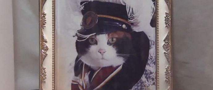 Mačka je mrtva. Naj živi mačka!