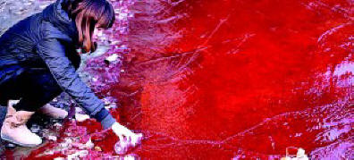 Krvav dež je padel na Zemljo