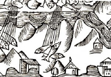 V različnih državah je ves čas padel neverjeten dež.