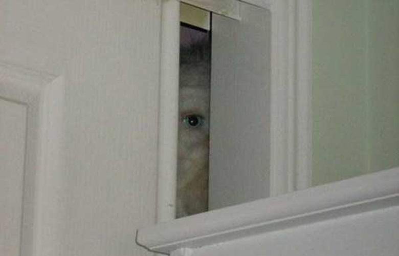 Nekdo pošlje fotografije strašljivega bitja Američanom.