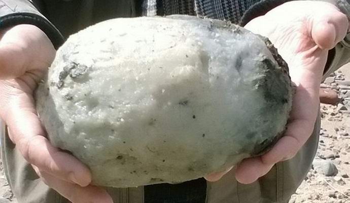 Košček sive ambergrisa je naredil bogat britanski par.