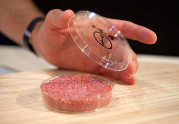 Laboratorijsko meso: biti ali ne biti?