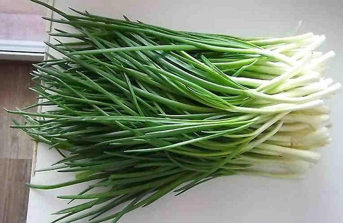 Enostaven in učinkovit način gojenja zelene čebule v stanovanju.