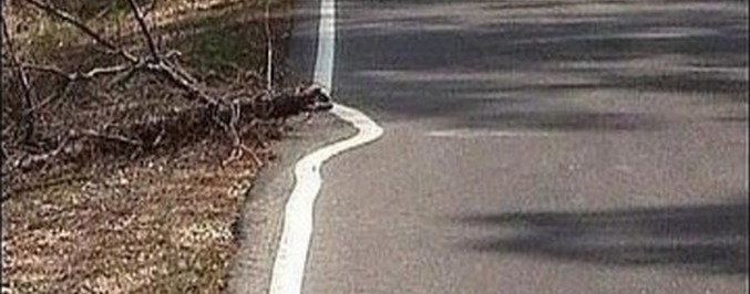 Je lenoba motor napredka?