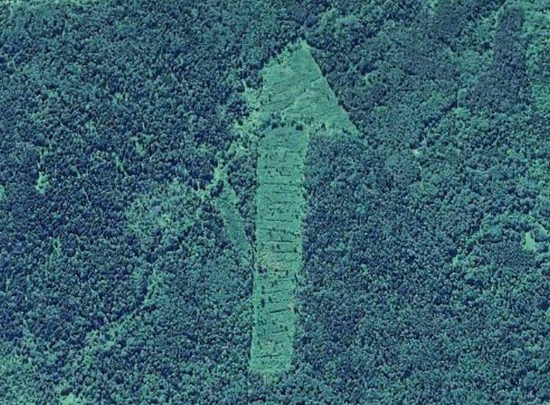 Gozdovi Smolenske regije so raziskovalce presenetili s skrivnostnimi simboli