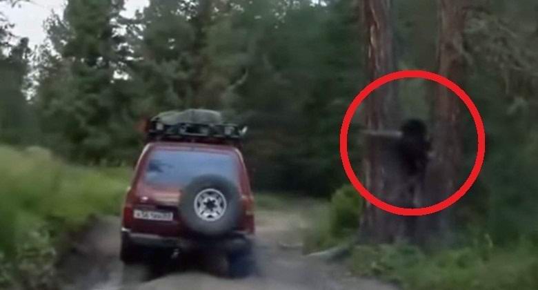 Lesha ujeta na videu v Rusiji