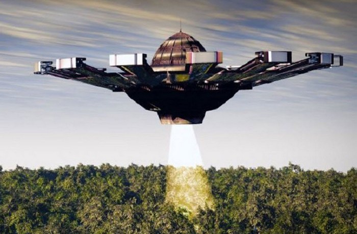 Žarek svetlobe sledi divjim živalim