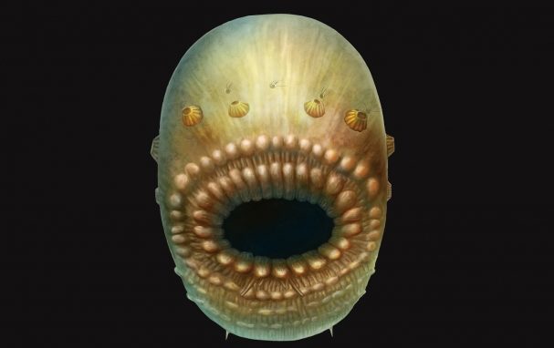 So ljudje prišli od tega?  - odkrito bitje je presenetilo znanstvenike 