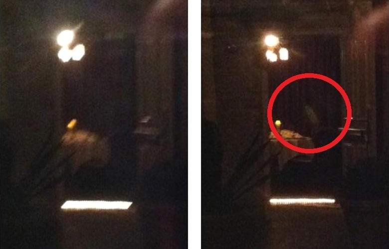 Mali duh, fotografiran v New Orleansu