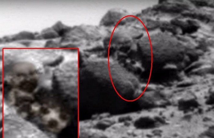 Marsijan se je izkazal za brado in tudi s psom.