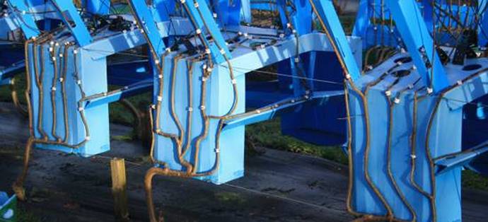 Pohištvo je mogoče izdelati, lahko pa - rasteš