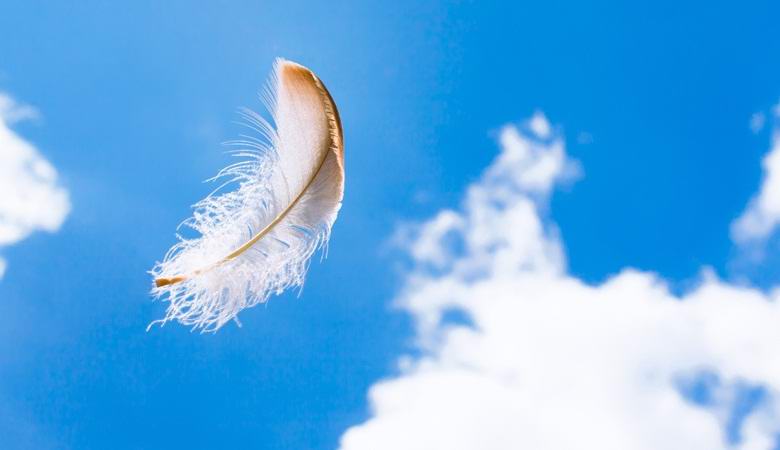 Mrtvi lahko komunicirajo z živimi z belim perjem.