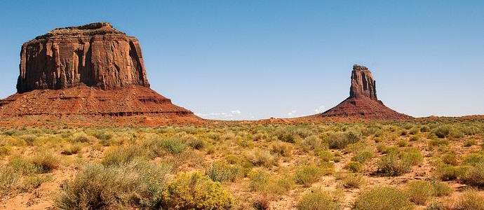 Mrtvi zakonec je pomagal ostarelemu Američanu preživeti