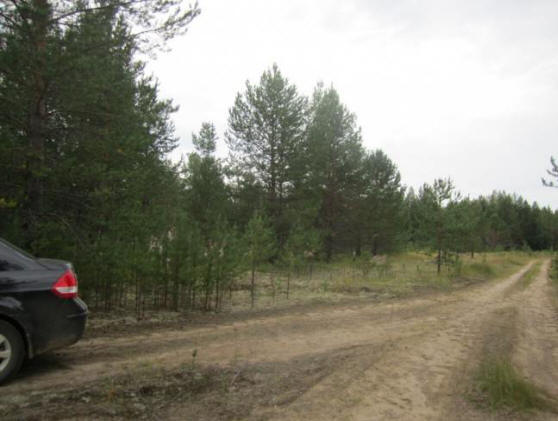 Kraj, kjer podgane in druge nenormalne cone Komi ne živijo