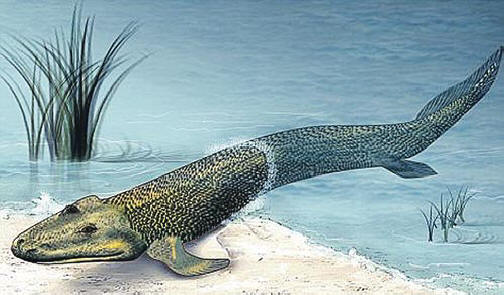 To je bil prednik vseh jasnovidcev.