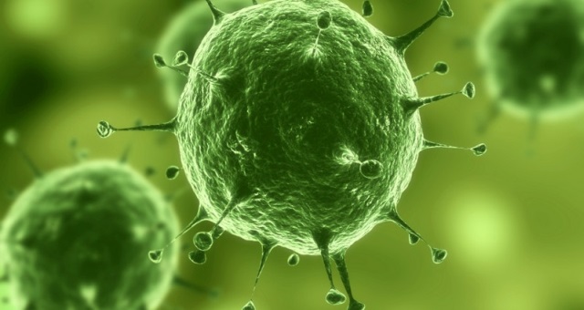 Klice lahko leta živijo v vesolju.