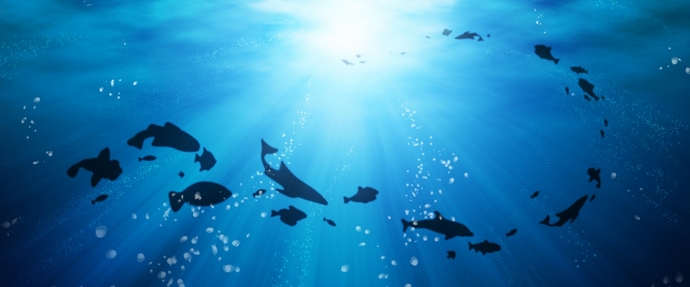 Oceani se spreminjajo in spreminjajo življenje na planetu kot celoti.