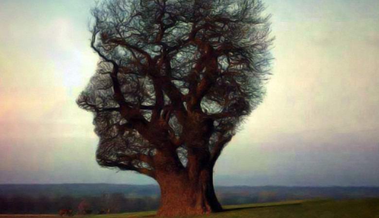 Mistično drevo je dobilo obliko mrtve ženske