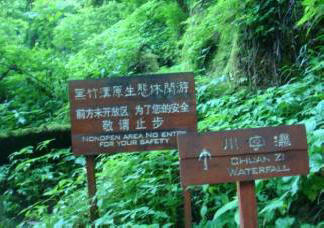 Mističnost Kitajske. Votel črnega bambusa.