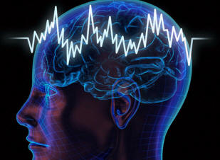 Možgani in vesolje sta brata dvojčka?