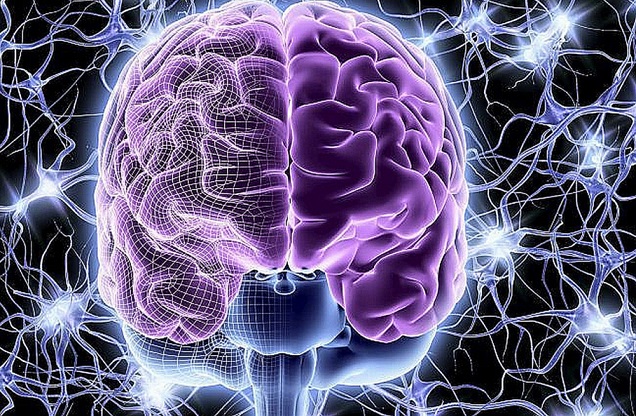 Lahko človek razmišlja brez možganov?