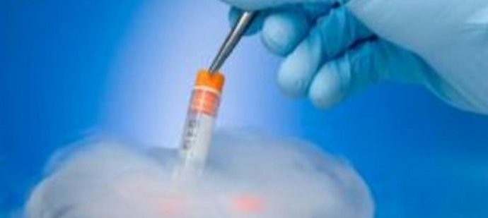 Ali je mogoče umetno ustvariti popolno generacijo?