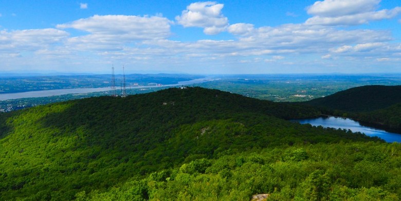 Človek hoče razumeti, kakšna žival je bliskala v gozdu za jelena.