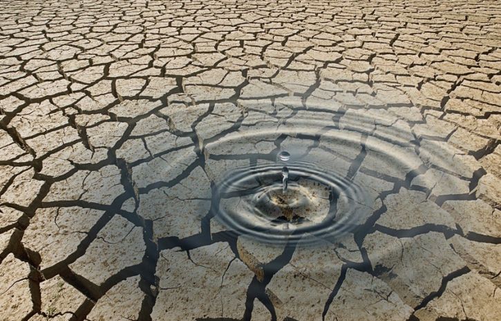 Človeštvo je za leto 2019 izčrpalo vse obnovljive vire planeta.