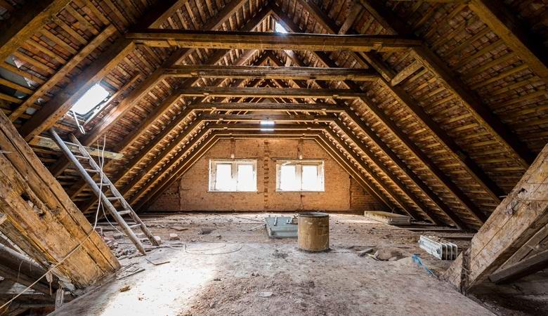 Na podstrešju Američanke je skrivaj živel gost, ki ga je zmotila za duha.