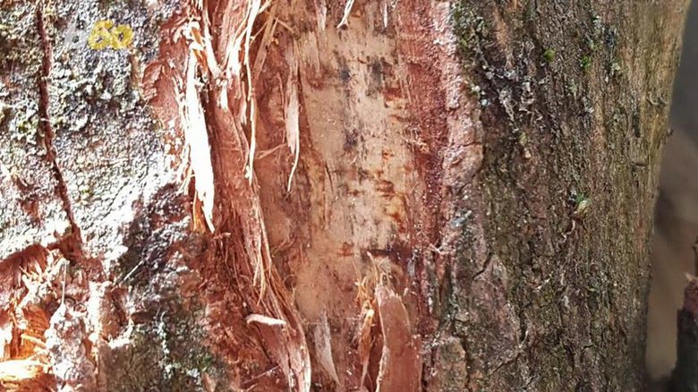 Najdeno na lesenem bloku