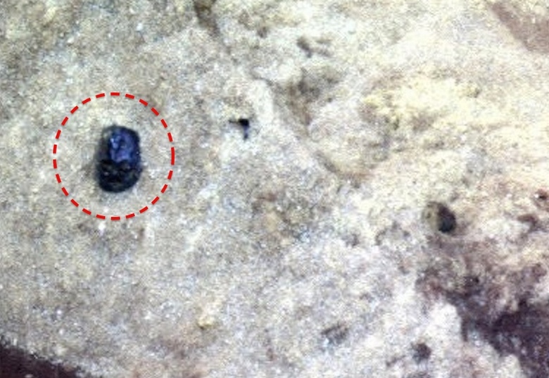 Na slikah z Marsa najdemo