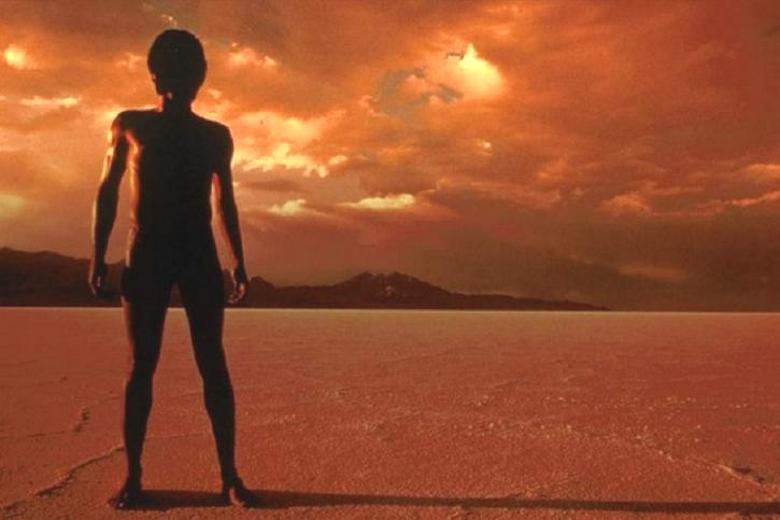 Na fotografiji, poslani z Marsa, so našli nekaj podobnega starodavnemu kipu.