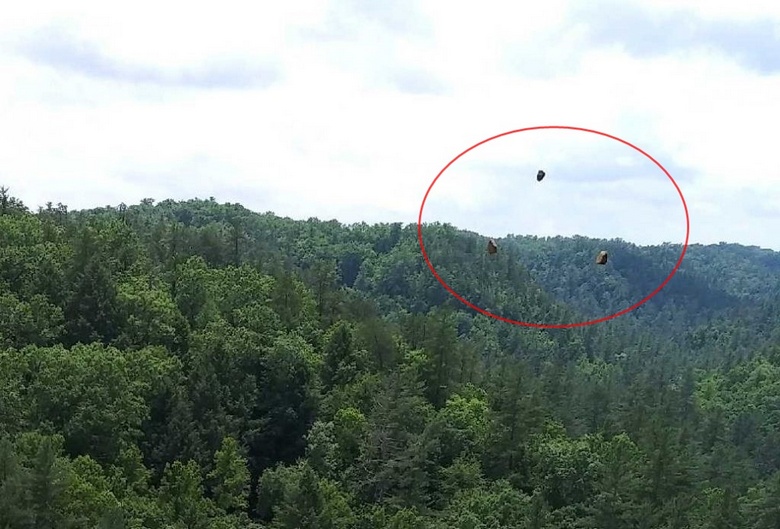 Napaka na fotografiji je bila imenovana.