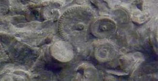 Na Kamčatki so bili tujci